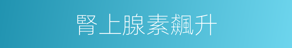 腎上腺素飆升的意思