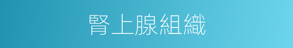 腎上腺組織的同義詞