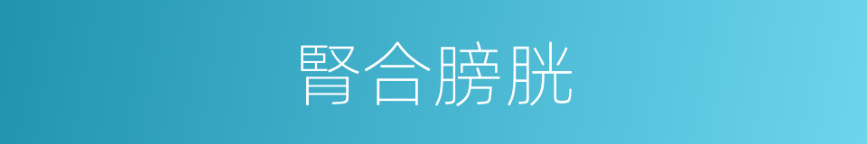 腎合膀胱的意思