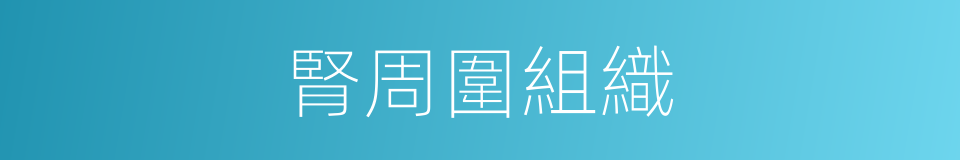 腎周圍組織的同義詞