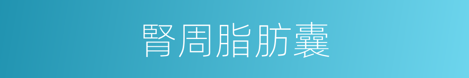 腎周脂肪囊的同義詞