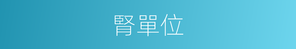 腎單位的意思