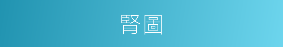 腎圖的意思