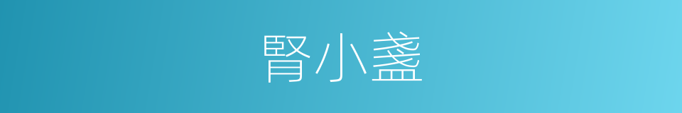 腎小盞的同義詞