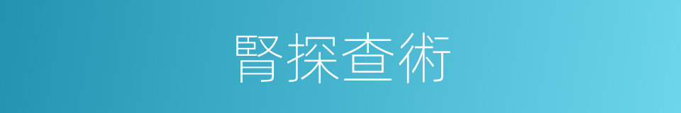 腎探查術的同義詞