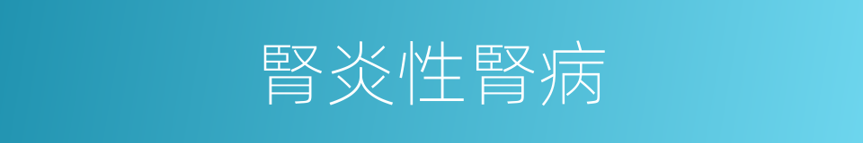 腎炎性腎病的同義詞