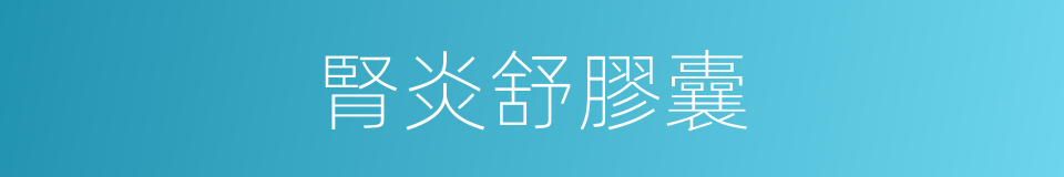 腎炎舒膠囊的同義詞