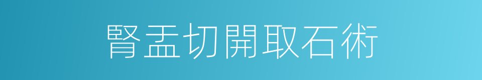 腎盂切開取石術的同義詞