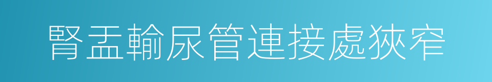 腎盂輸尿管連接處狹窄的同義詞