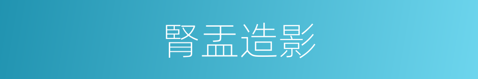 腎盂造影的同義詞