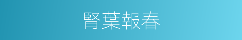 腎葉報春的同義詞