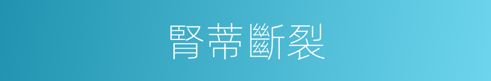 腎蒂斷裂的同義詞