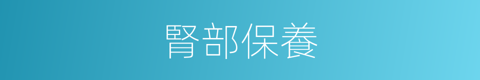 腎部保養的同義詞