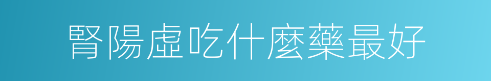 腎陽虛吃什麼藥最好的同義詞