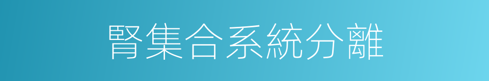 腎集合系統分離的同義詞