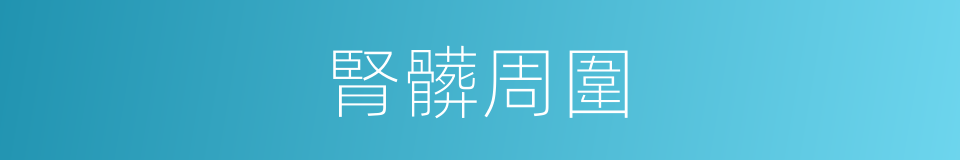 腎髒周圍的同義詞