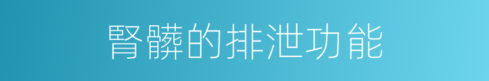 腎髒的排泄功能的同義詞