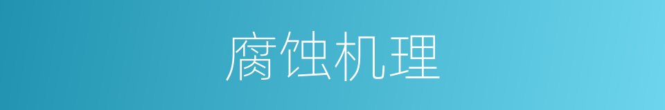 腐蚀机理的同义词