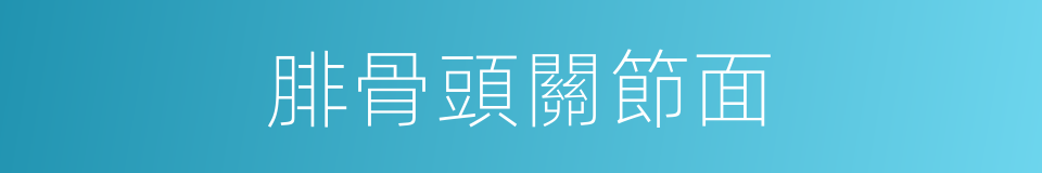 腓骨頭關節面的同義詞