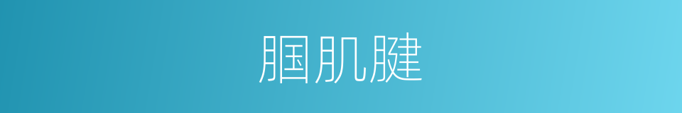 腘肌腱的同义词