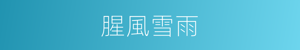 腥風雪雨的同義詞