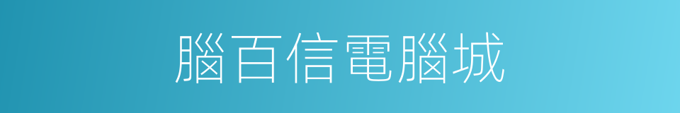 腦百信電腦城的同義詞