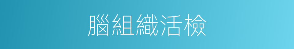 腦組織活檢的同義詞
