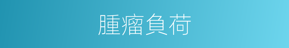 腫瘤負荷的同義詞