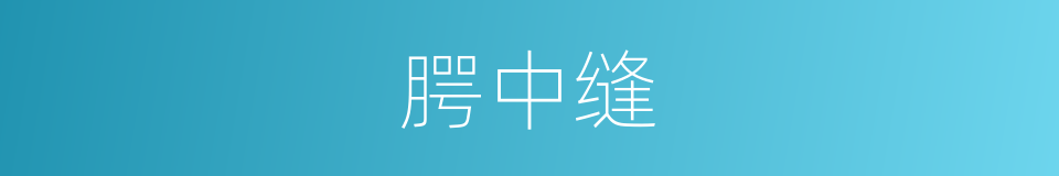 腭中缝的同义词