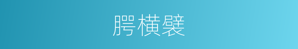 腭横襞的同义词
