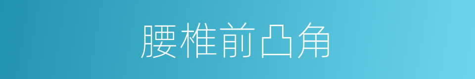 腰椎前凸角的同义词