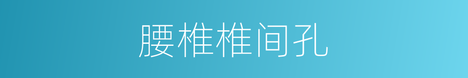 腰椎椎间孔的同义词