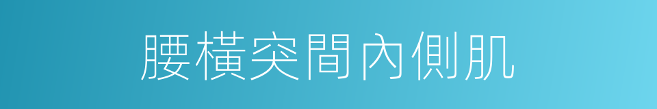 腰橫突間內側肌的同義詞