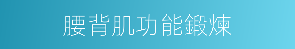 腰背肌功能鍛煉的同義詞