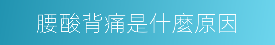 腰酸背痛是什麼原因的同義詞