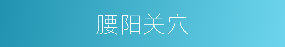 腰阳关穴的同义词