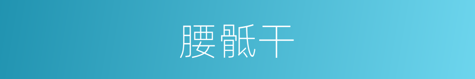 腰骶干的同义词