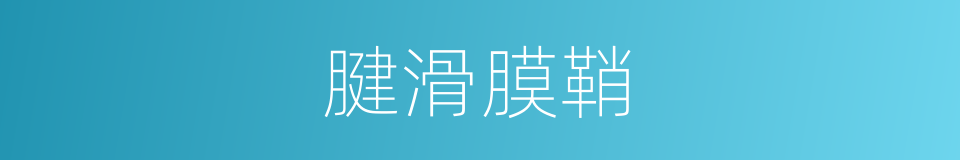 腱滑膜鞘的同义词