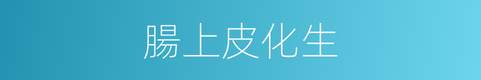 腸上皮化生的同義詞