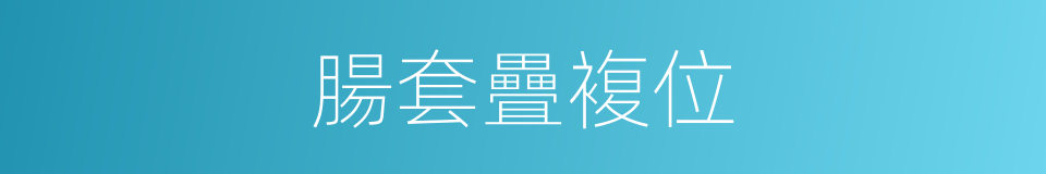 腸套疊複位的同義詞