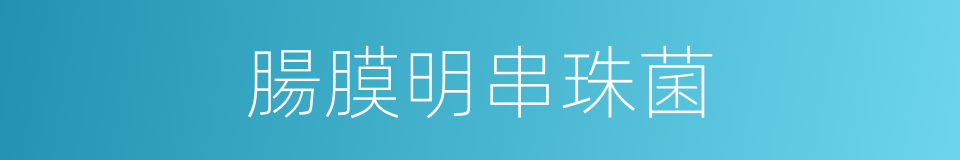 腸膜明串珠菌的同義詞