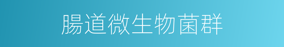 腸道微生物菌群的同義詞