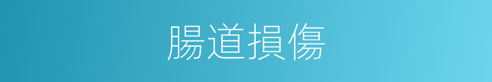 腸道損傷的同義詞