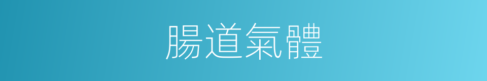腸道氣體的同義詞