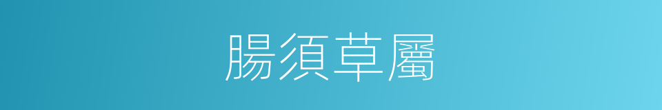 腸須草屬的同義詞