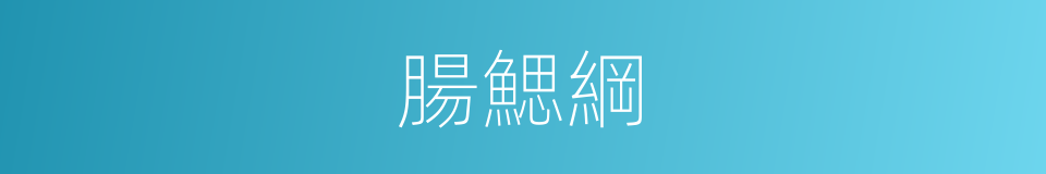 腸鰓綱的同義詞