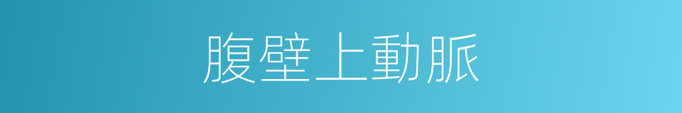 腹壁上動脈的同義詞