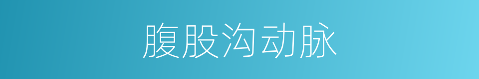 腹股沟动脉的同义词