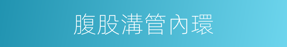 腹股溝管內環的同義詞