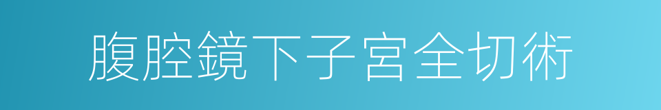 腹腔鏡下子宮全切術的同義詞